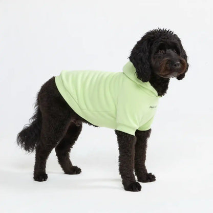 Essential Dog Hoodie - Honey Dew