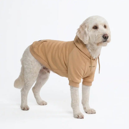 Essential Dog Hoodies