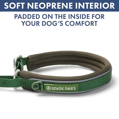 Martingale Collar Set - Army Green