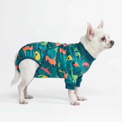 Dog Surgical Suit - Dinosaurs