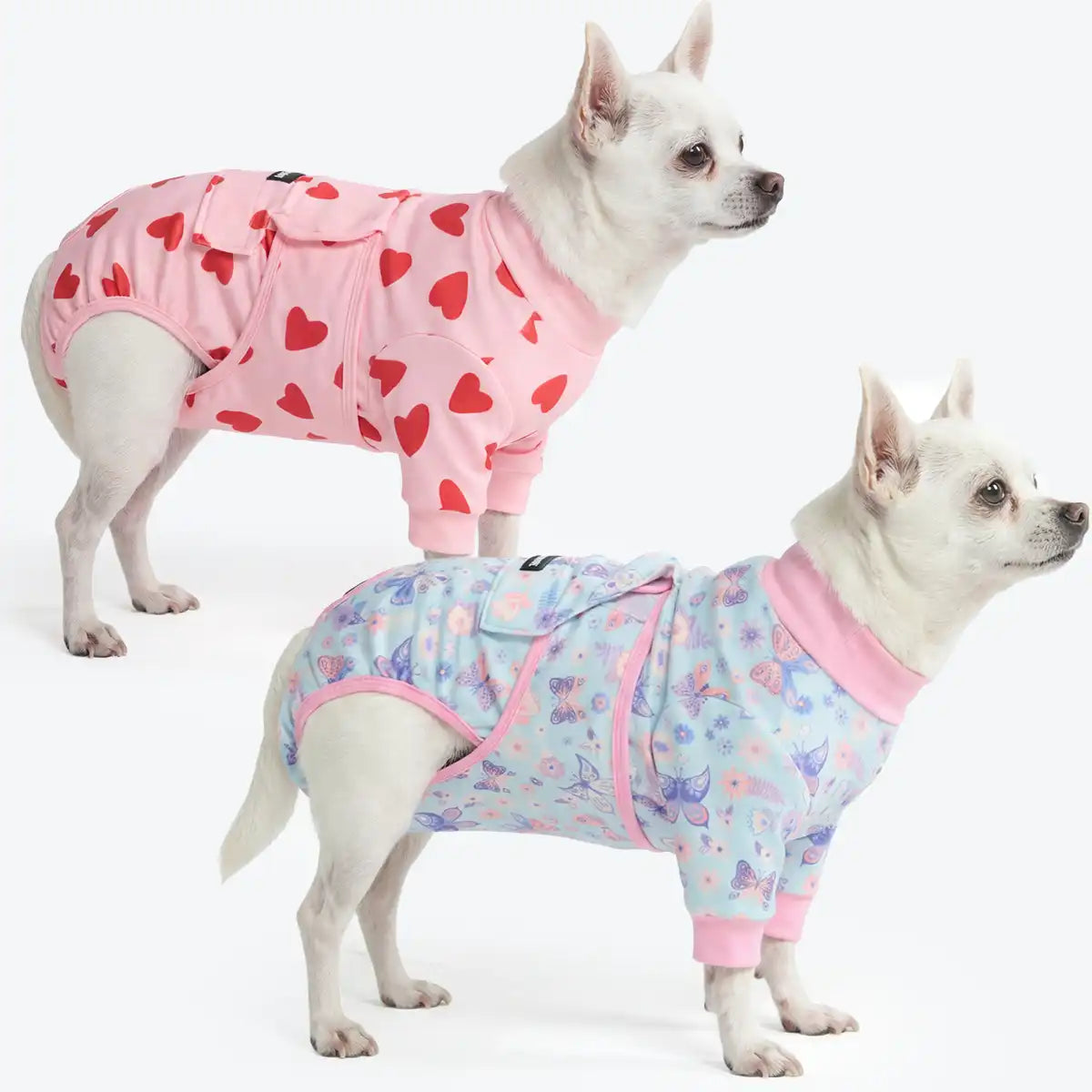 Dog Surgical Suit  2-pack