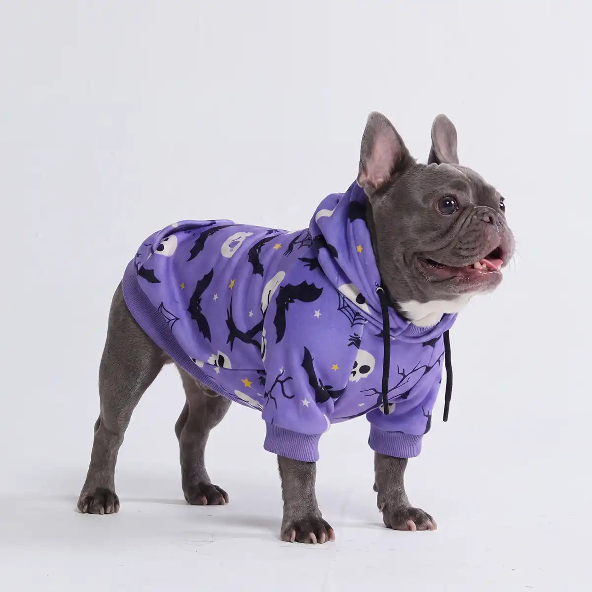 Halloween Dog Hoodie - Purple (2)