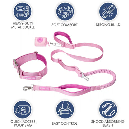 Comfort Control Collar and Multipurpose Leash Sets