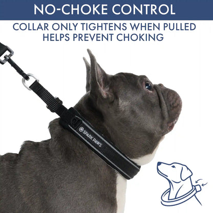 Martingale Collar Set - Black