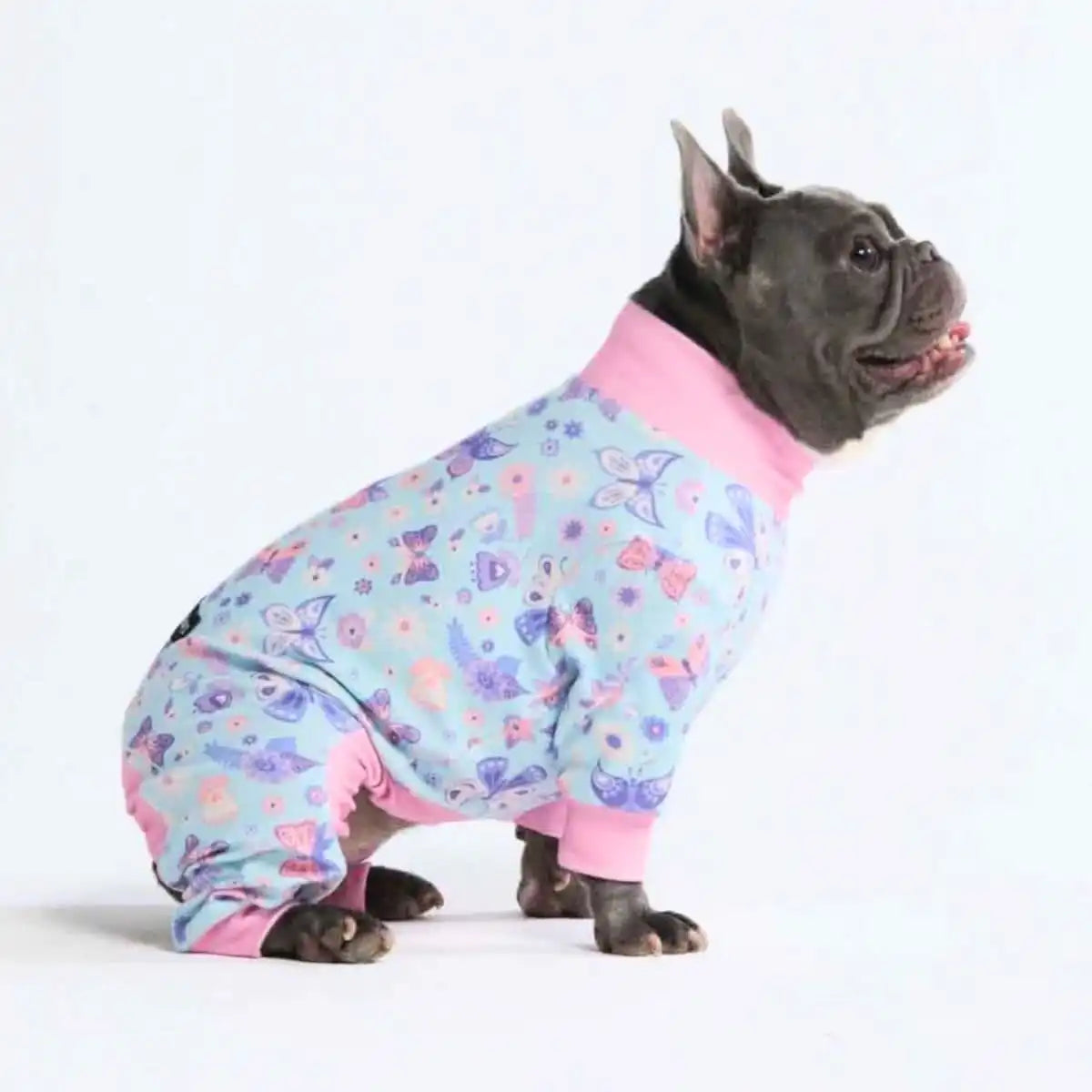 Dog Pajama Prints