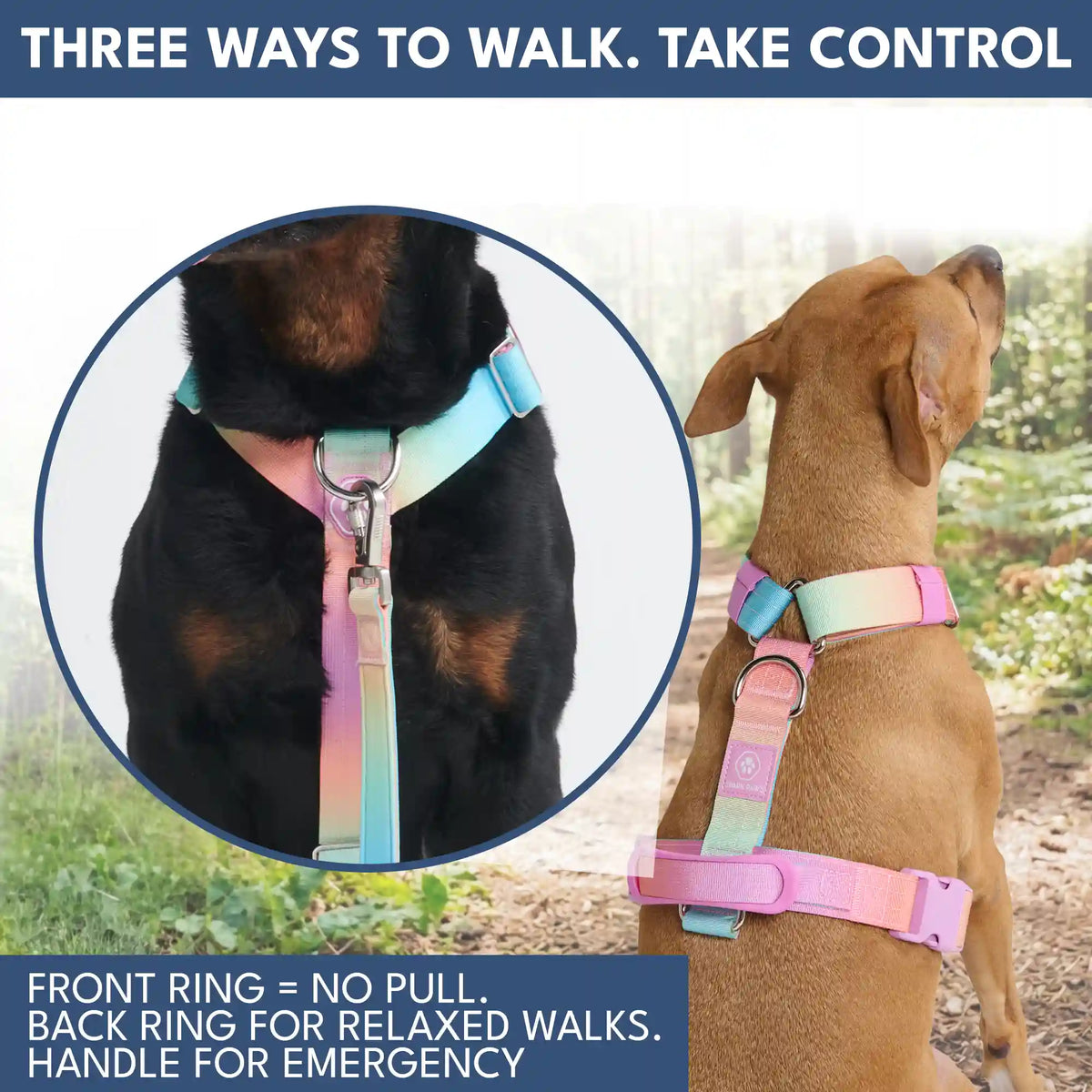 Comfort Control No-Pull Dog Harness and Multipurpose Leash Set - Pastel Icing