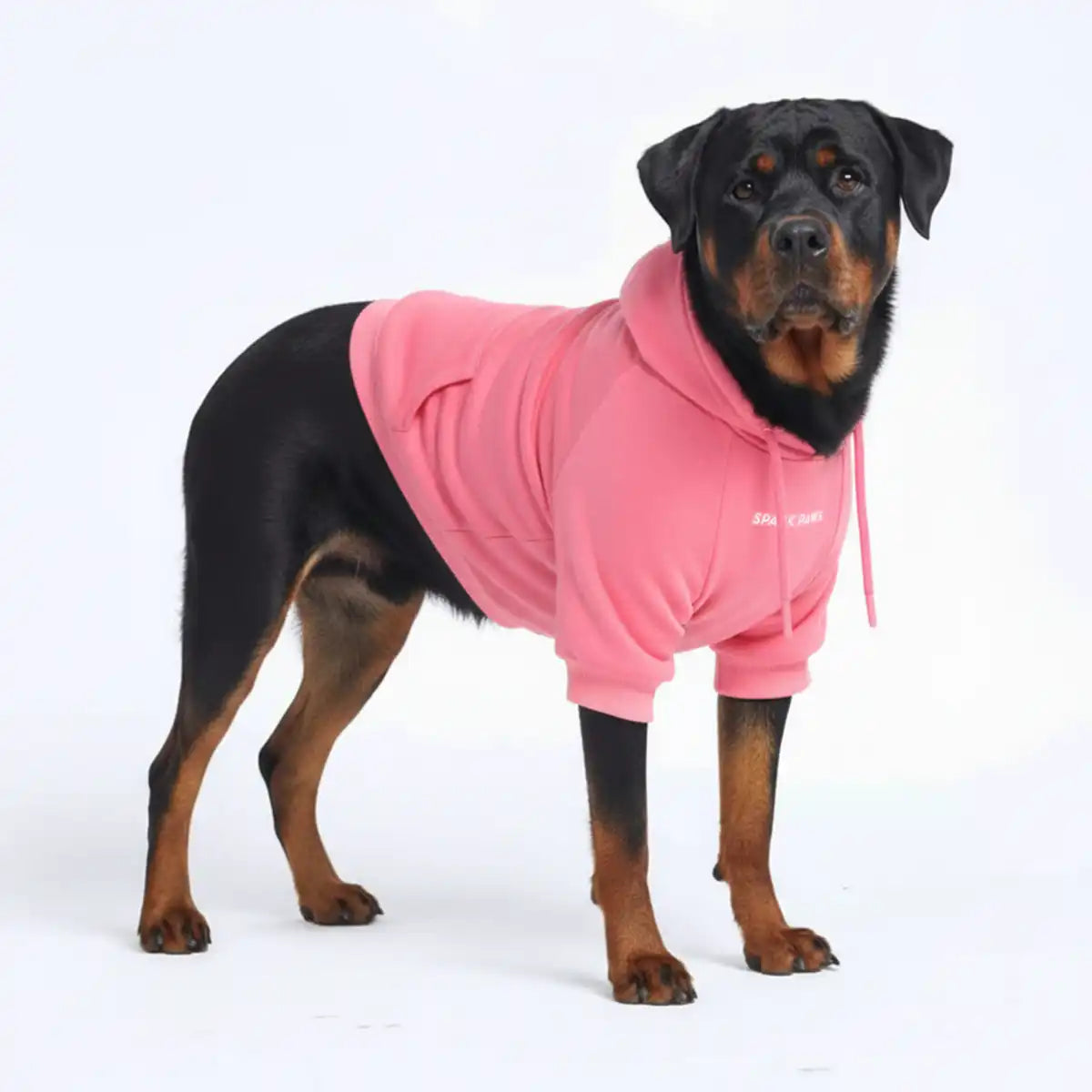 Essential Dog Hoodie - Blush Pink