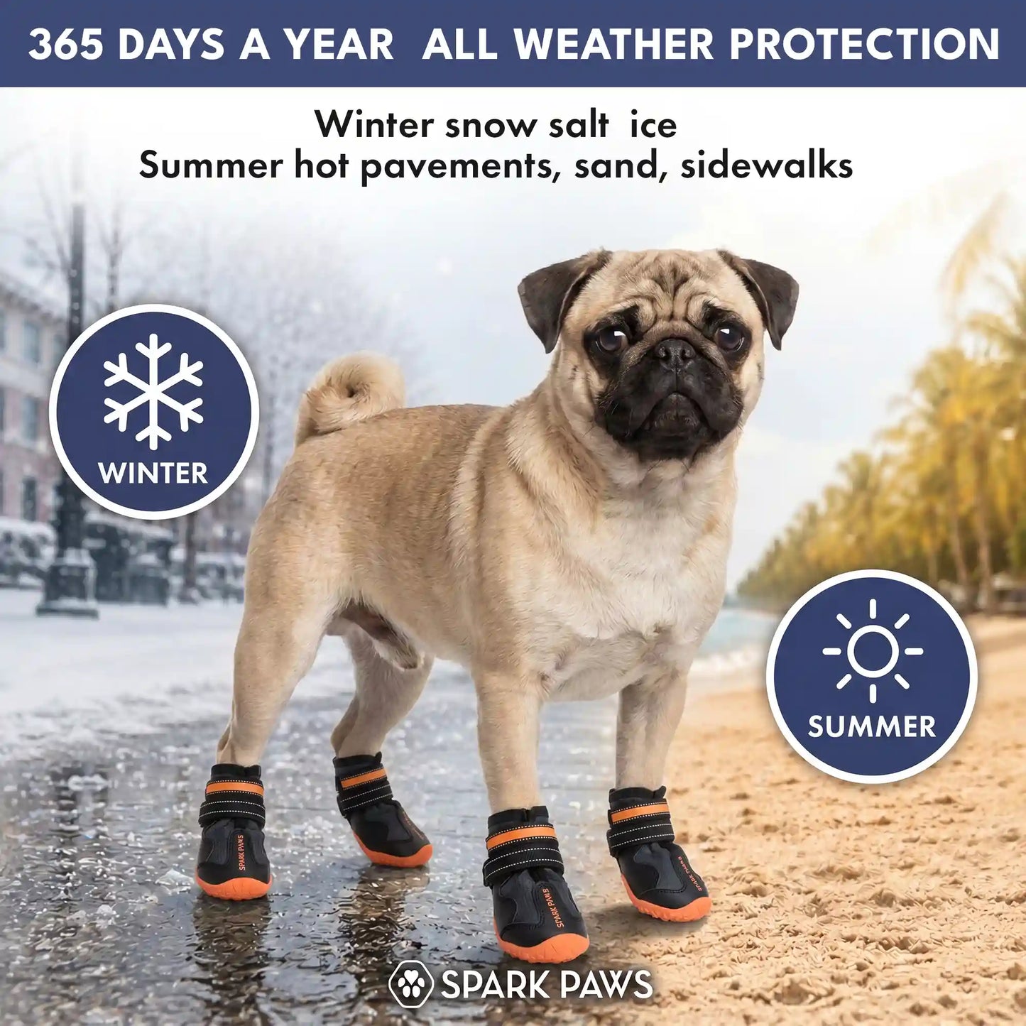 365 All-Season Dog Shoe 4PC Set