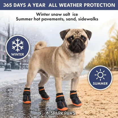 365 All-Season Dog Shoe 4PC Set
