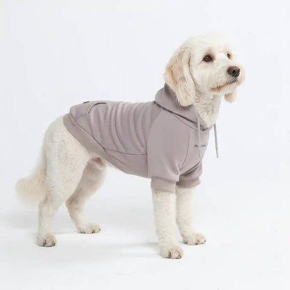 Essential Dog Hoodies