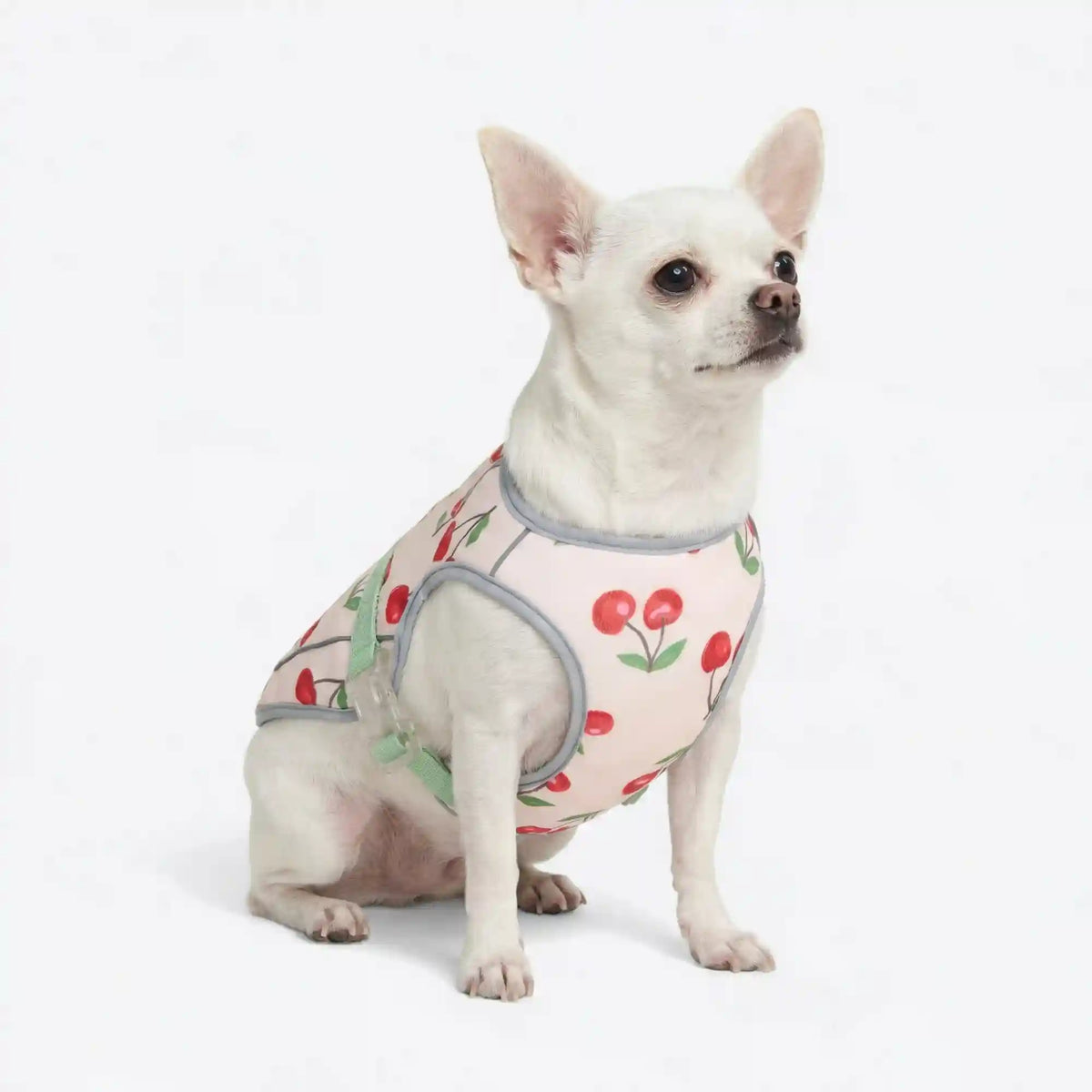 Chilltech™ Dog Cooling Vests