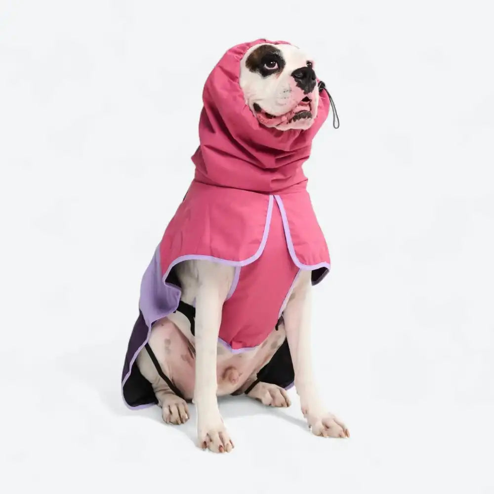 Breatheshield™ Dog Raincoats