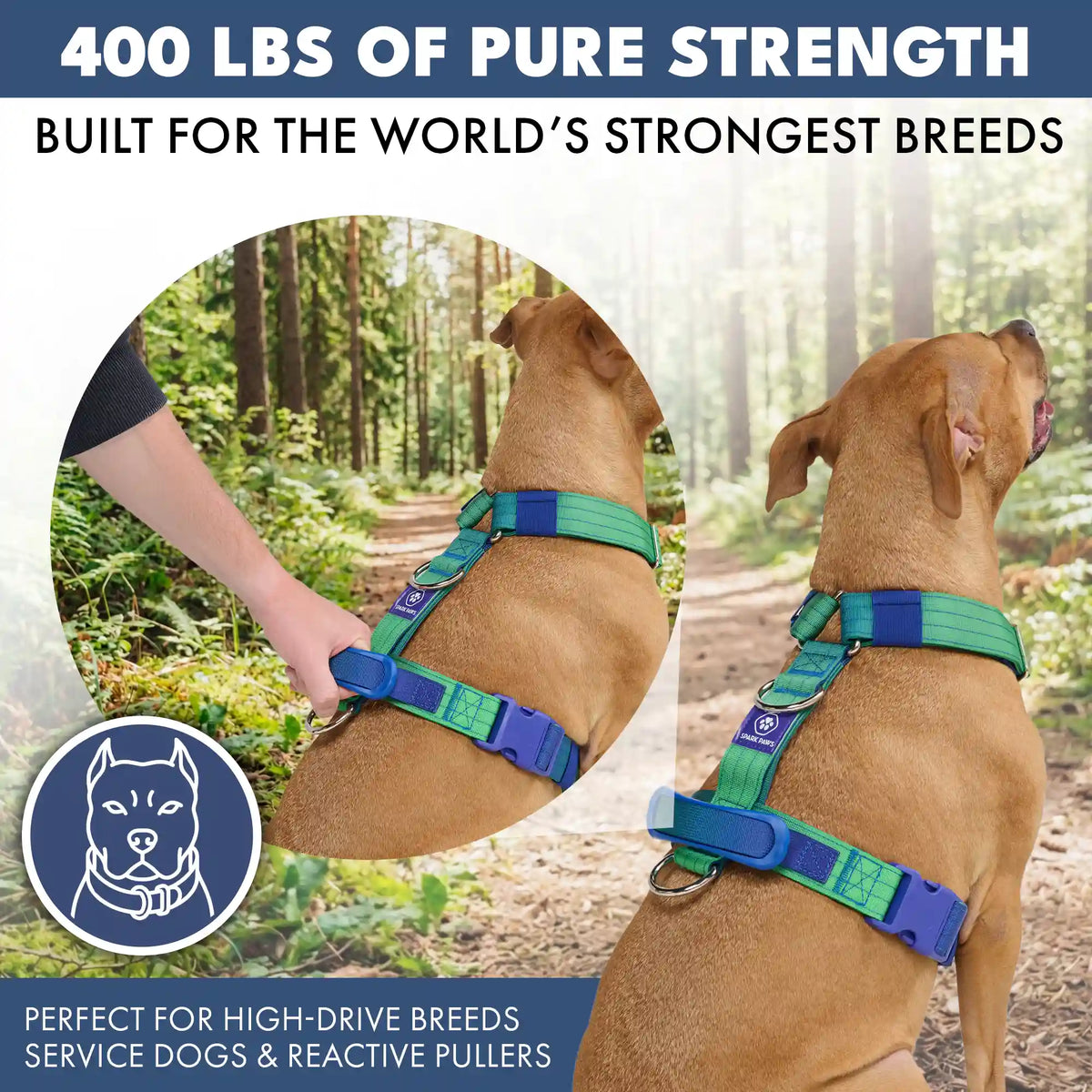 Comfort Control No-Pull Dog Harnesses
