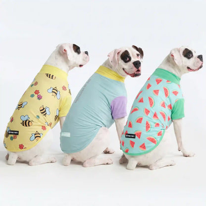 Sunblock T-Shirt 3 Pack