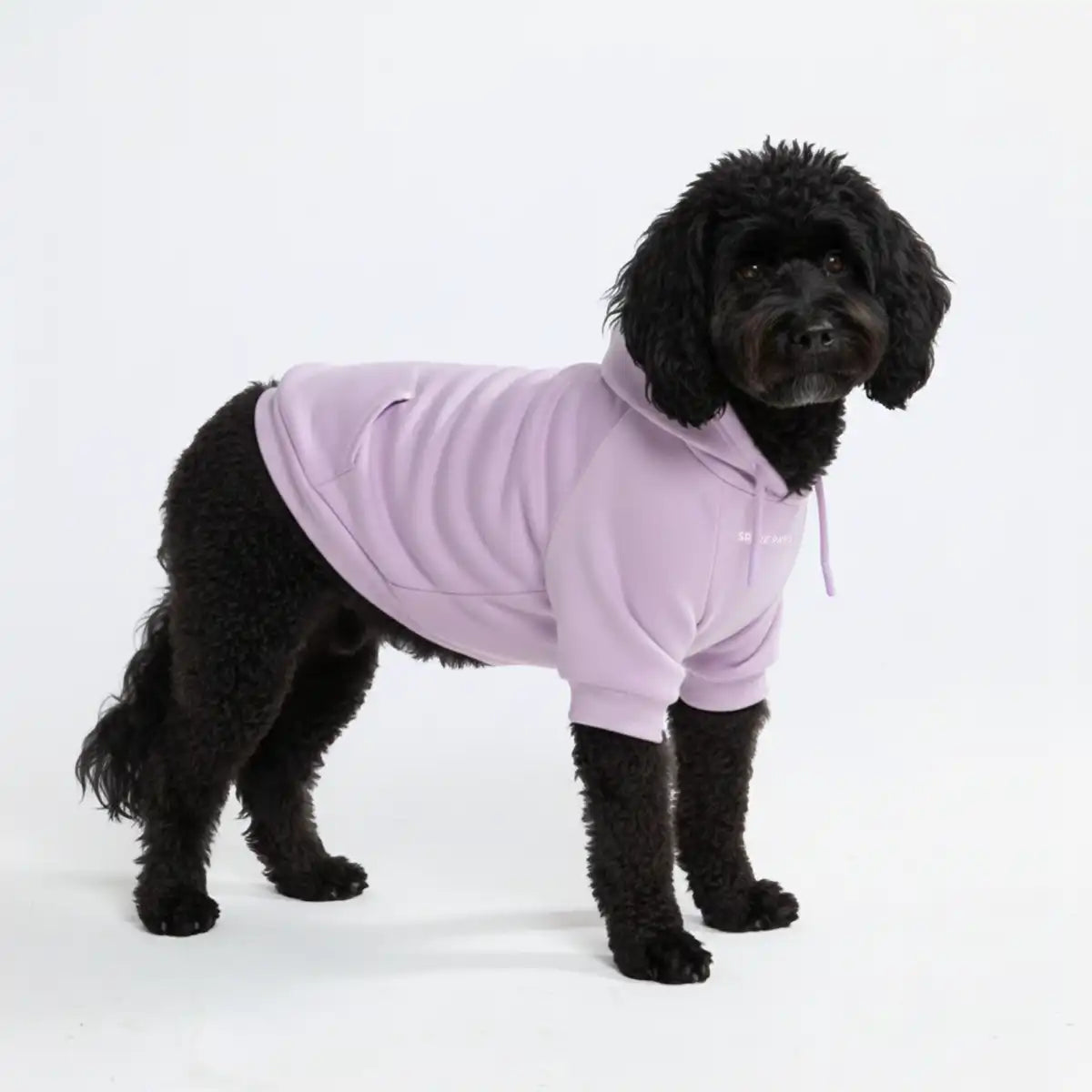 Essential Dog Hoodie - Lavender