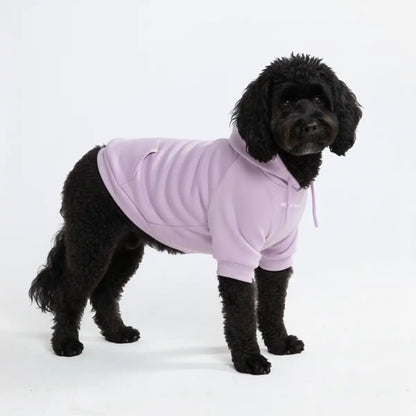 Essential Dog Hoodie - Lavender