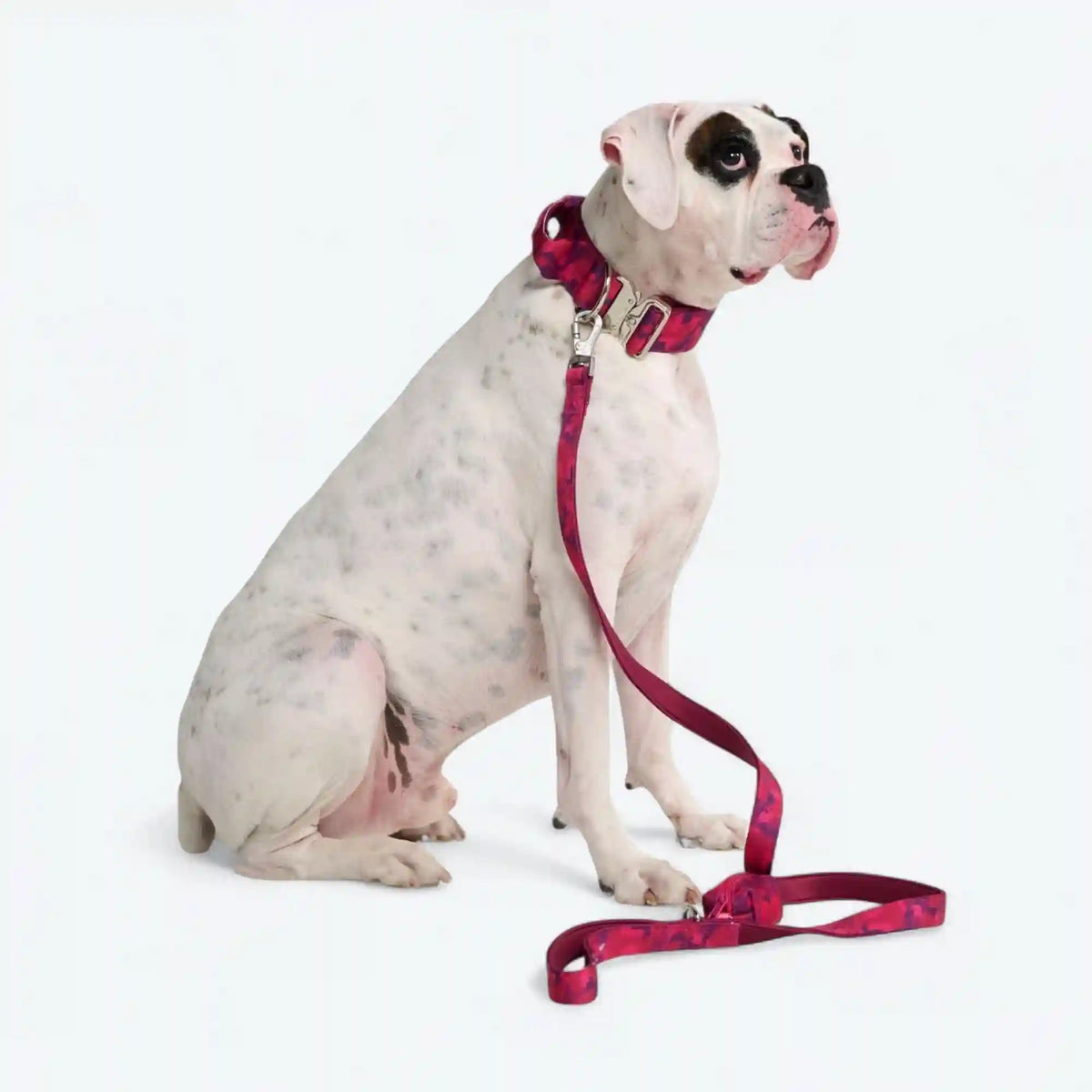 Leash and Poop Bag Holder Set