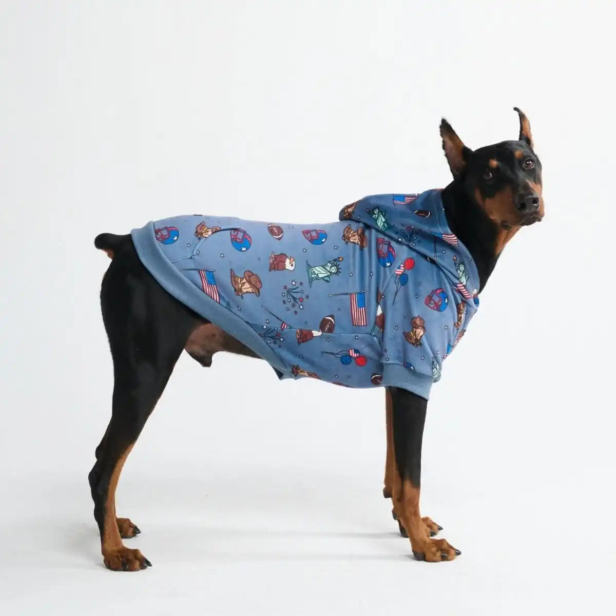 Around the World Dog Hoodies