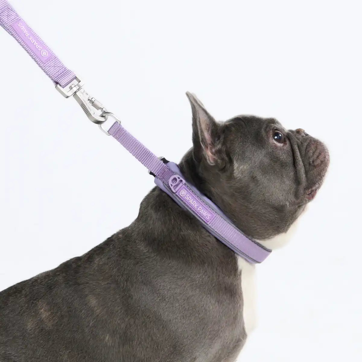 Cushioned Martingale Collars
