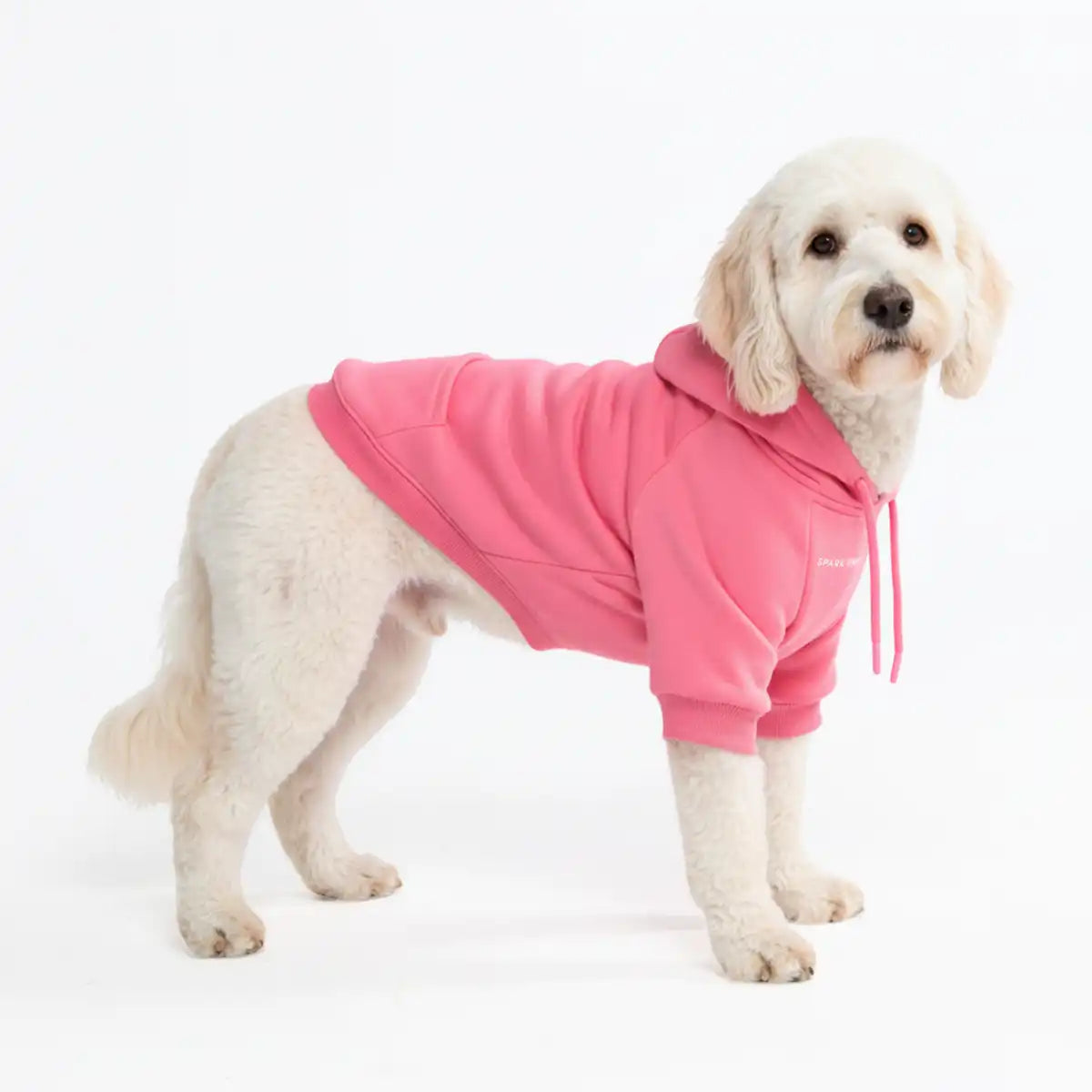 Essential Dog Hoodies