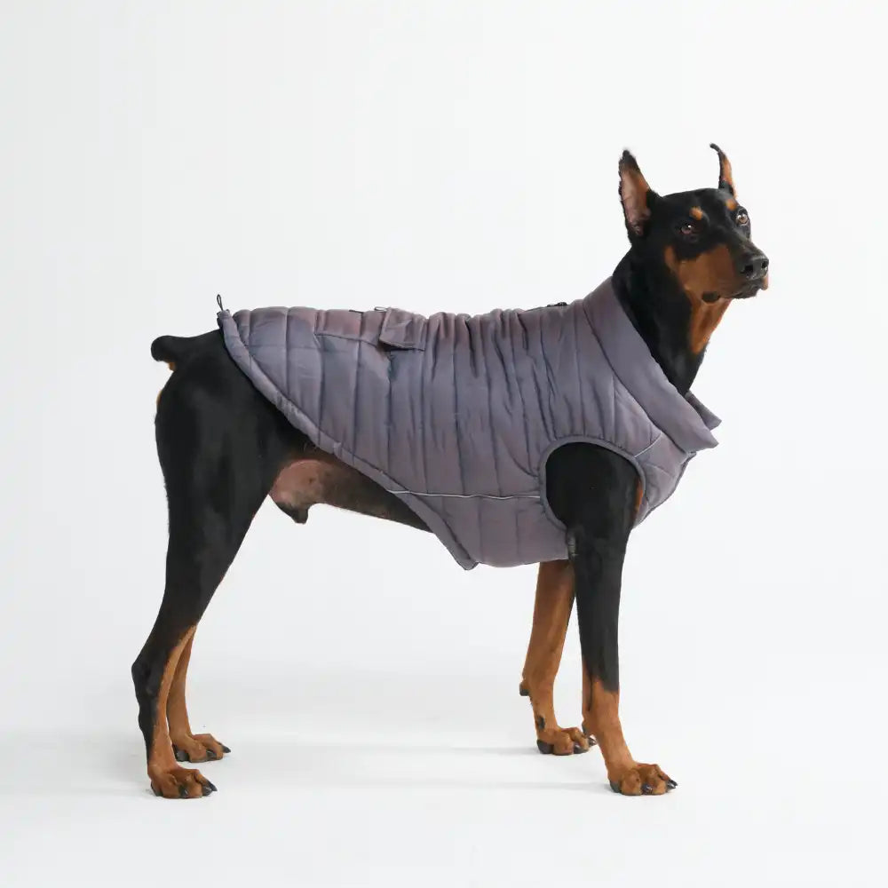 WarmShield Water-Resistant Jackets