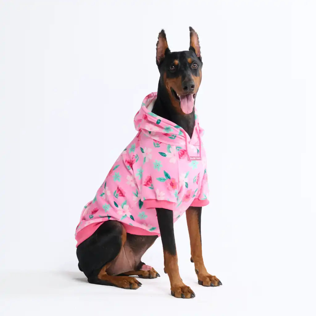 Dog Hoodie Prints