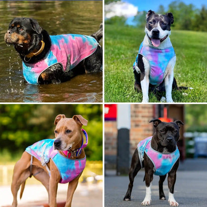 Chilltech™ Dog Cooling Vests