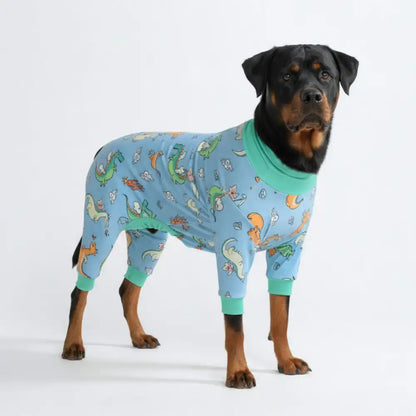 Dog Pajama - Dragons