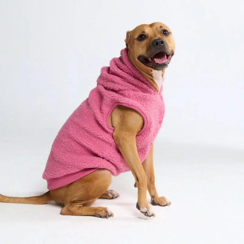 Teddy Sherpa Dog Jackets