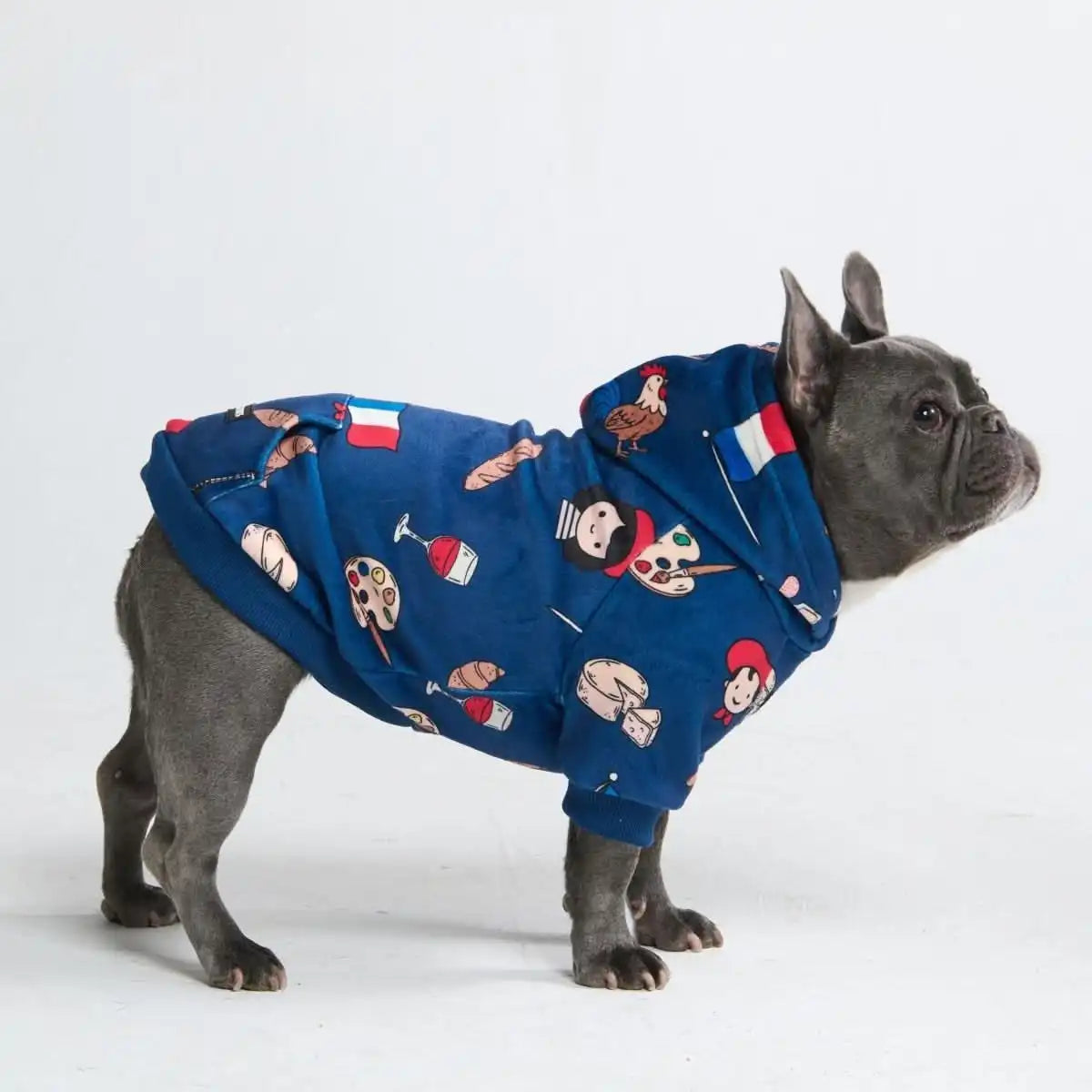 Around the World Dog Hoodies