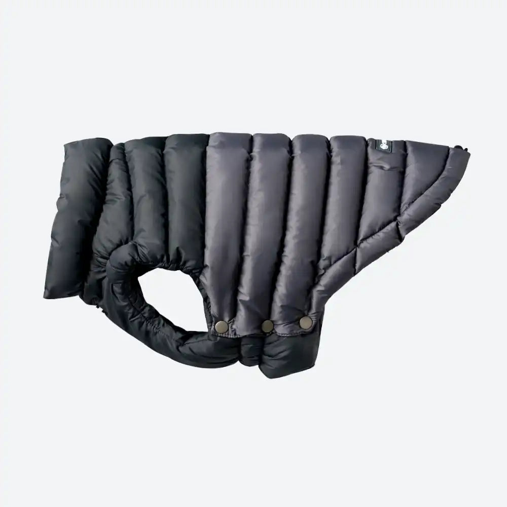 PuffShield Winter Jacket - Black