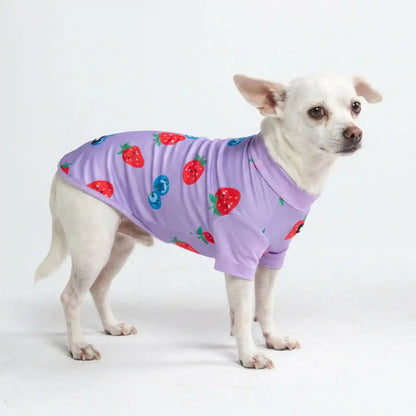 Sunblock Dog T-Shirt - Prints