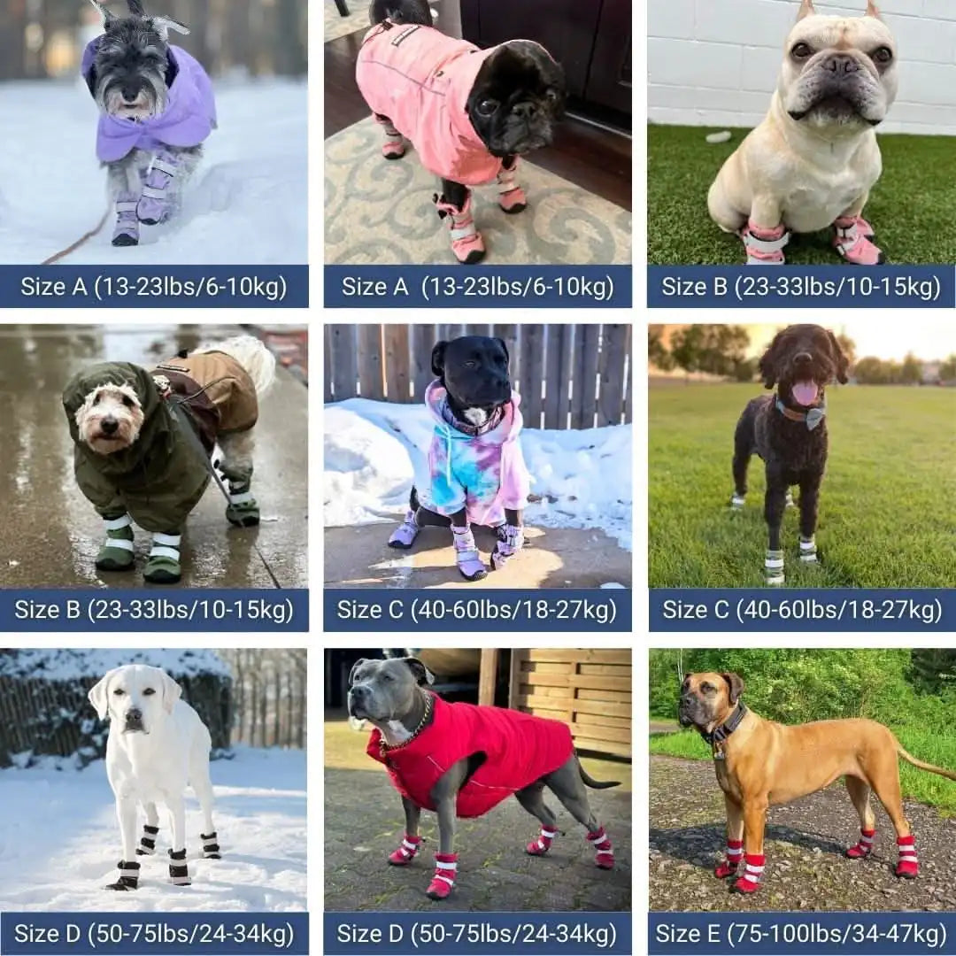 Dog Rainboots, Waterproof Dog Shoes - Black