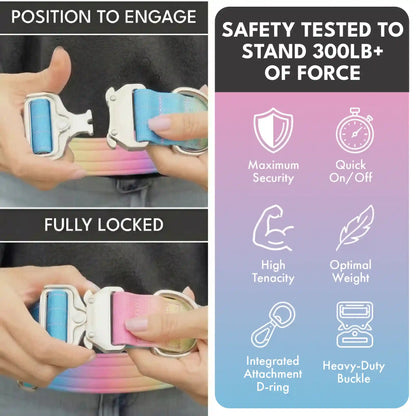 Comfort Control Collar - Pastel Icing