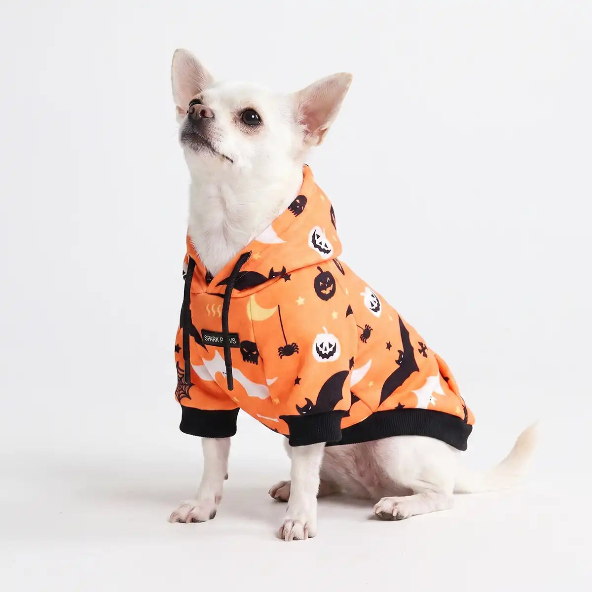 Halloween Dog Hoodies (Limited Edition)