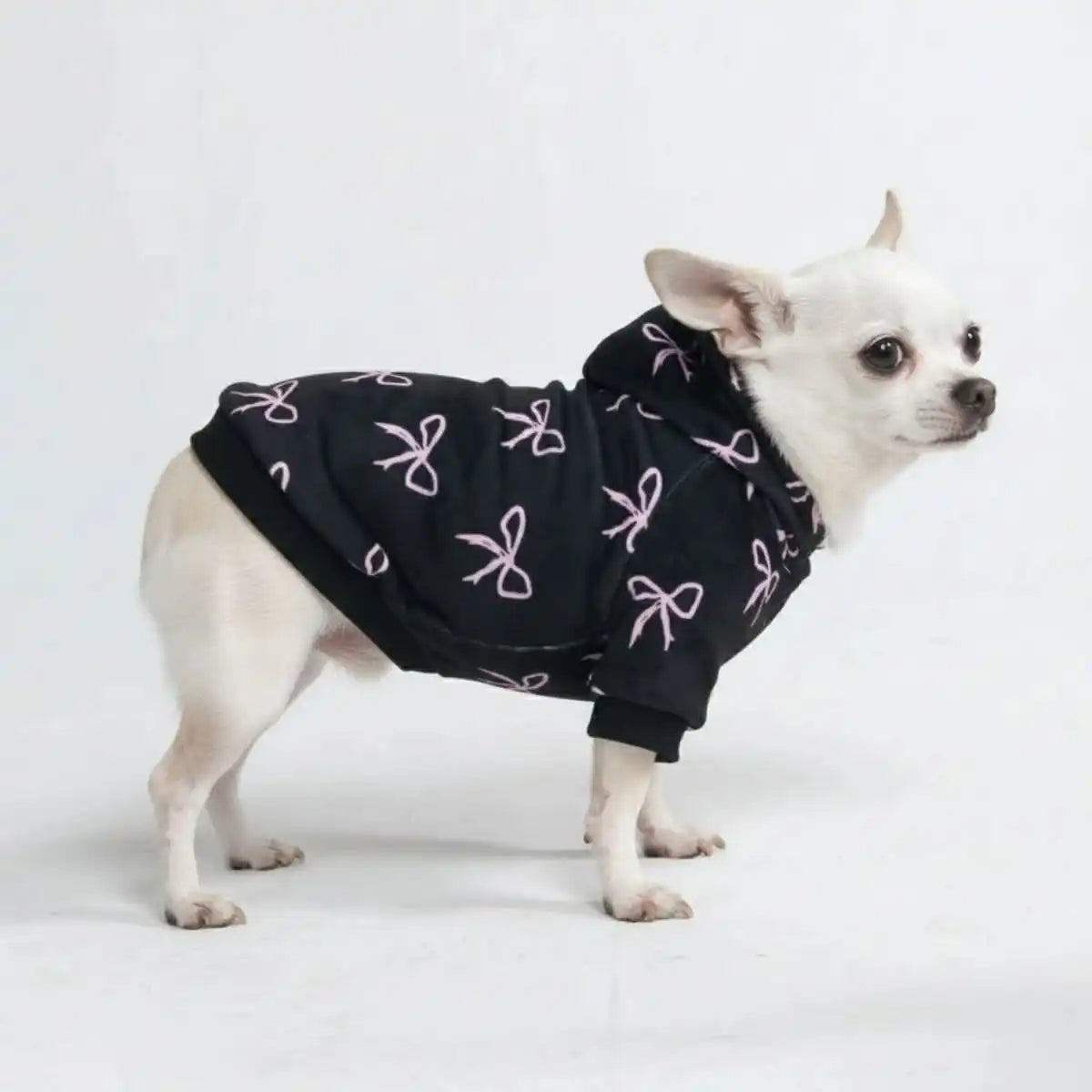 Coquette Dog Hoodie