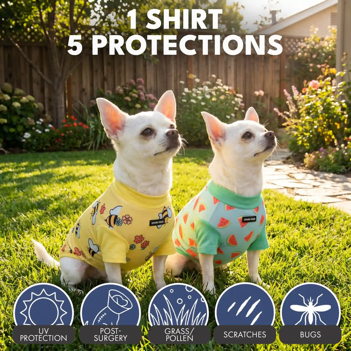 Sunblock Dog T-Shirt (2-pack) - Bees Watermelon