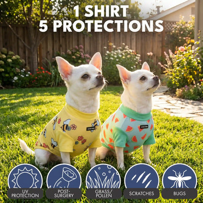 Sunblock Dog T-Shirt (2-pack) - Bees Watermelon