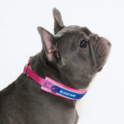Cushioned Martingale Collars