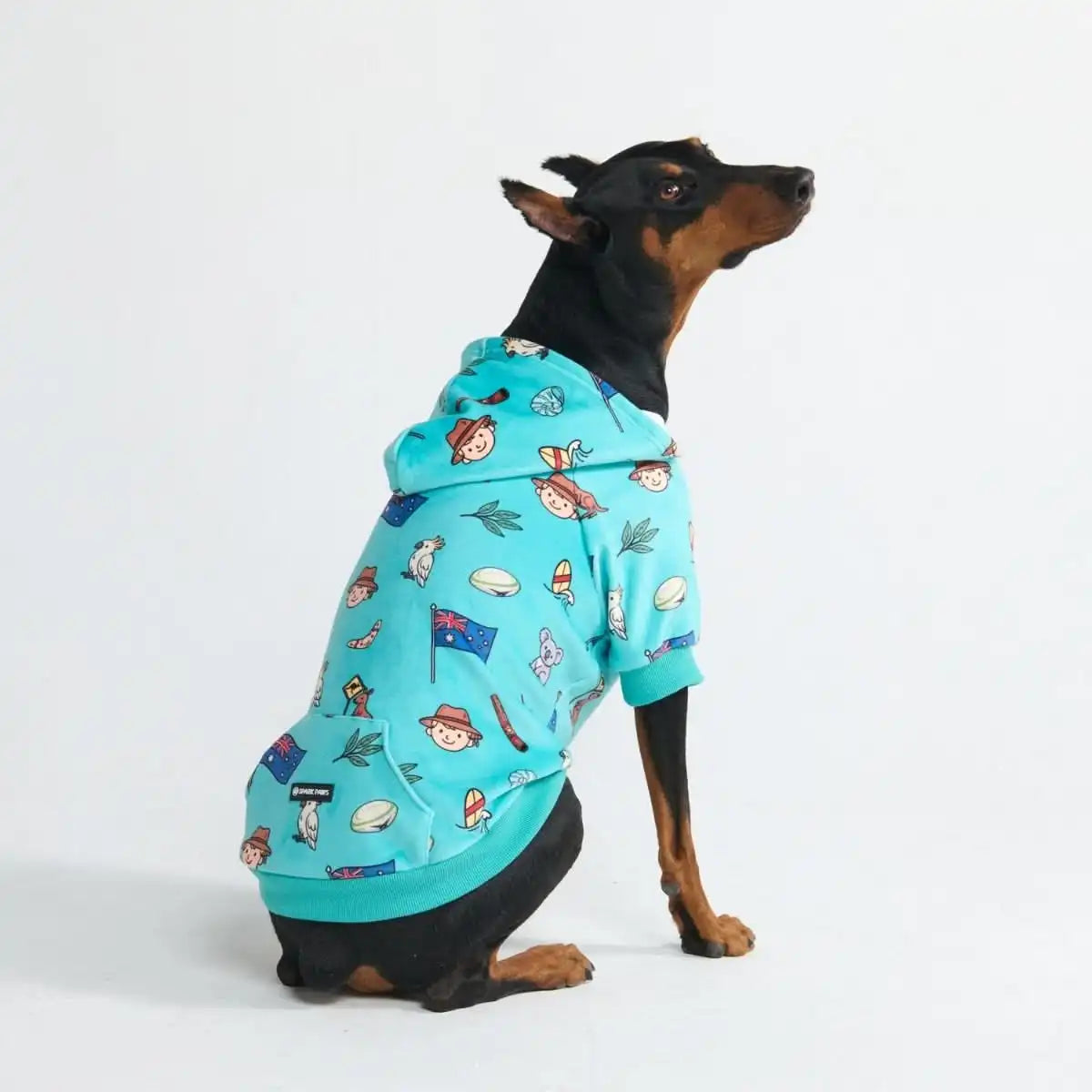 Around the World Dog Hoodies
