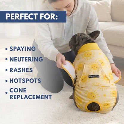 Dog Surgical Suit - Sunshine