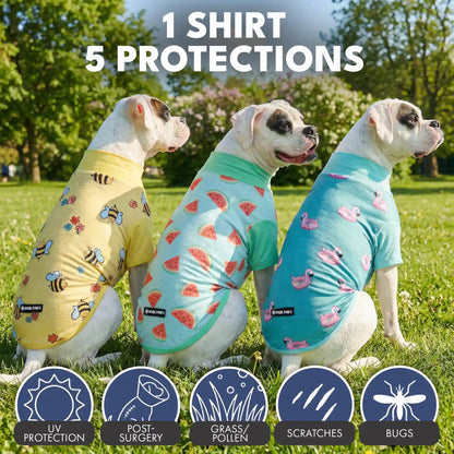 Sunblock Dog T-Shirt (3-pack) - Bees, Flamingo, Watermelon