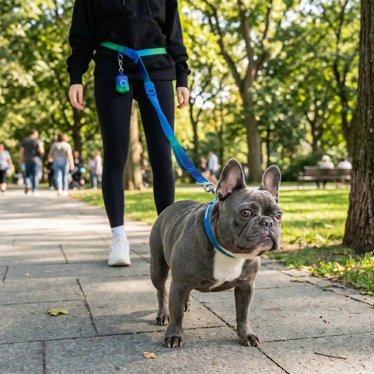 Martingale Collar and Multipurpose Leash Sets