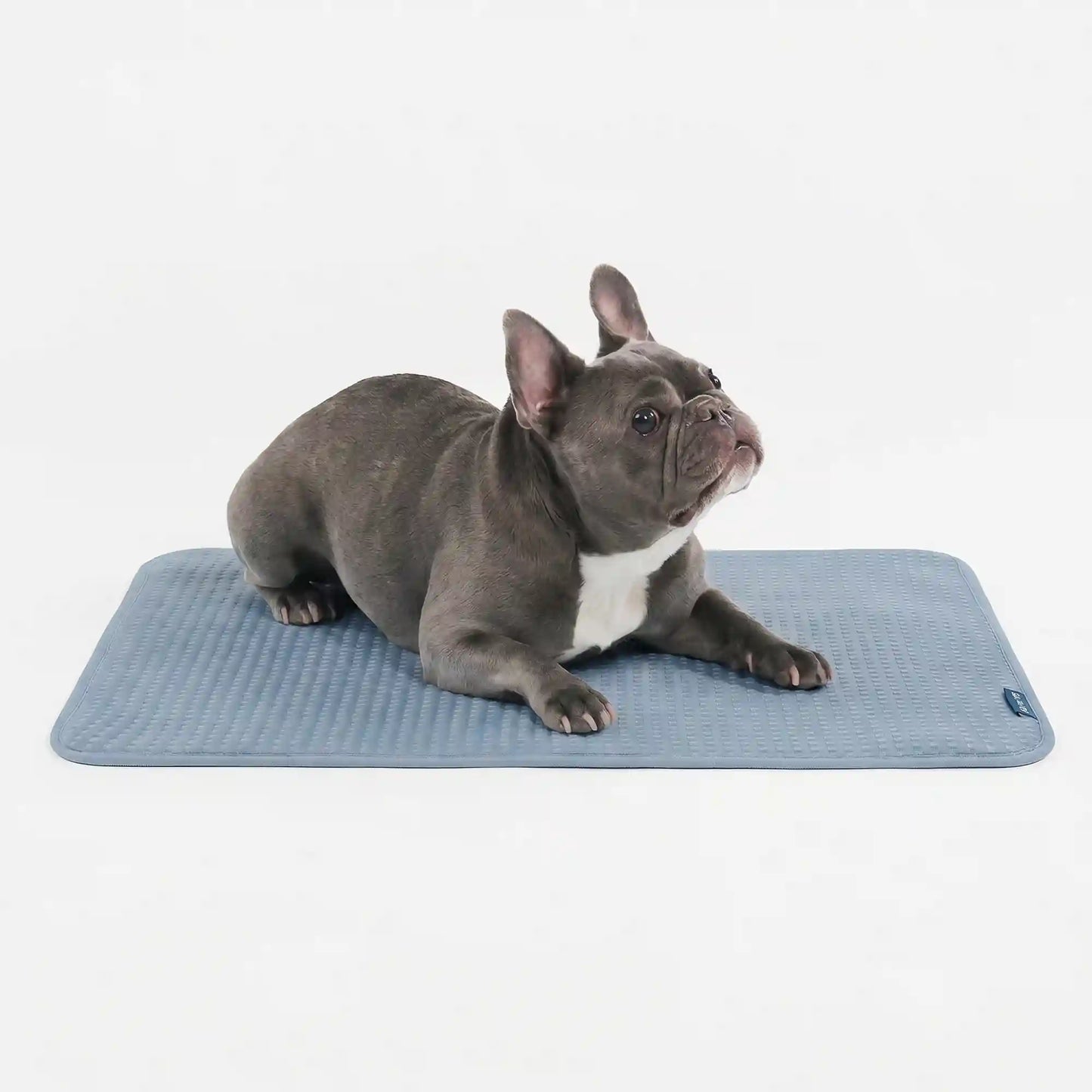Frostcore™ Cooling Mat