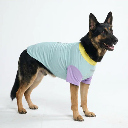 Sunblock Dog T-Shirt - Color Block