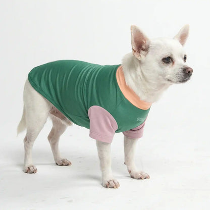 Sunblock Dog T-Shirt - Color Block