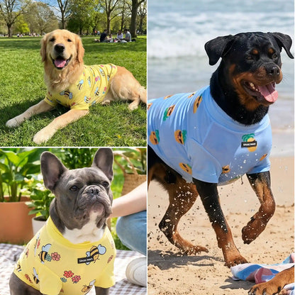 Sunblock Dog T-Shirt (2-pack) - Bees Pineapple