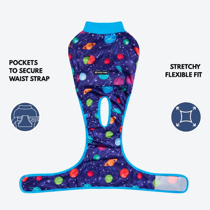 Dog Surgical Suit