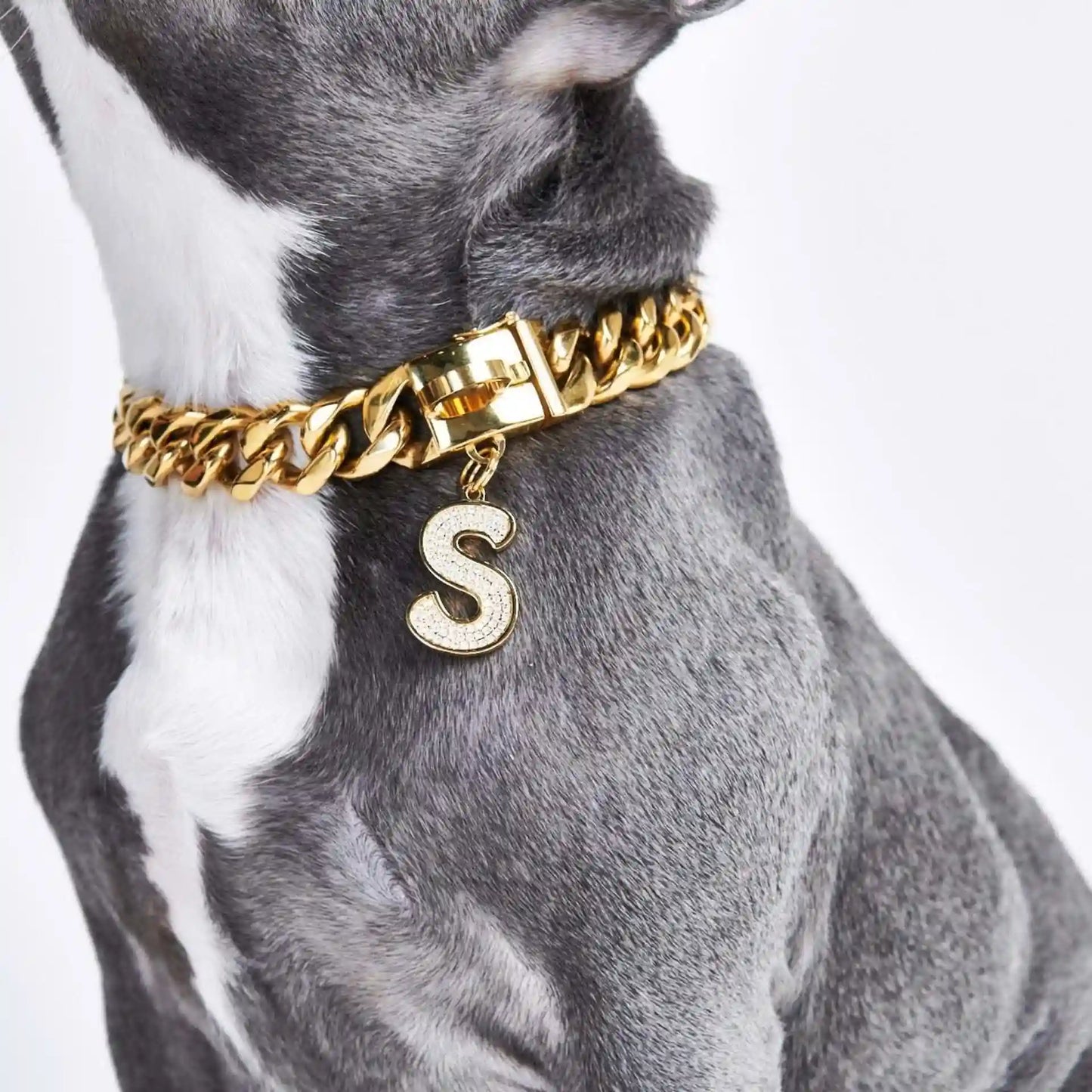 Initial Letter Jewelry Tag - S