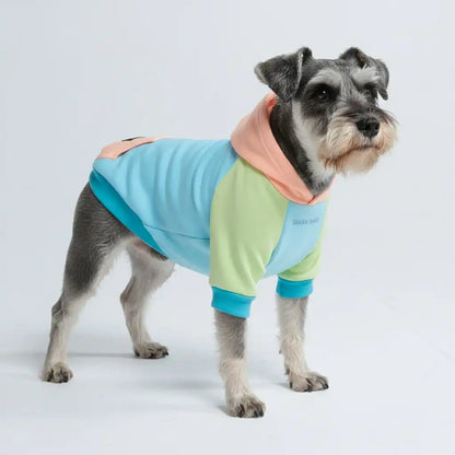 Color Block Dog Hoodies